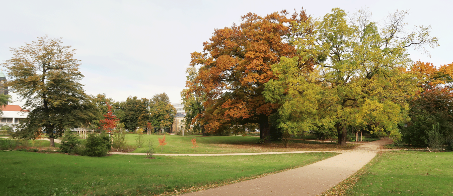 Blüherpark Dresden
